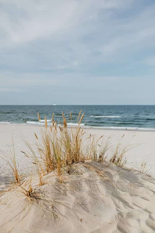 Eine kleine Sanddüne mit hohen Gräsern im Vordergrund, ein Sandstrand und sanfte Meereswellen unter einem teilweise bewölkten Himmel im Hintergrund - eine heitere Szenerie, die an die Ruhe nach einer Brustvergrösserung erinnert.